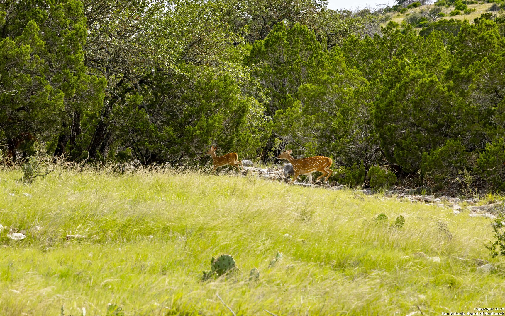 Lot 1 Highway 377 Rocksprings TX 78880