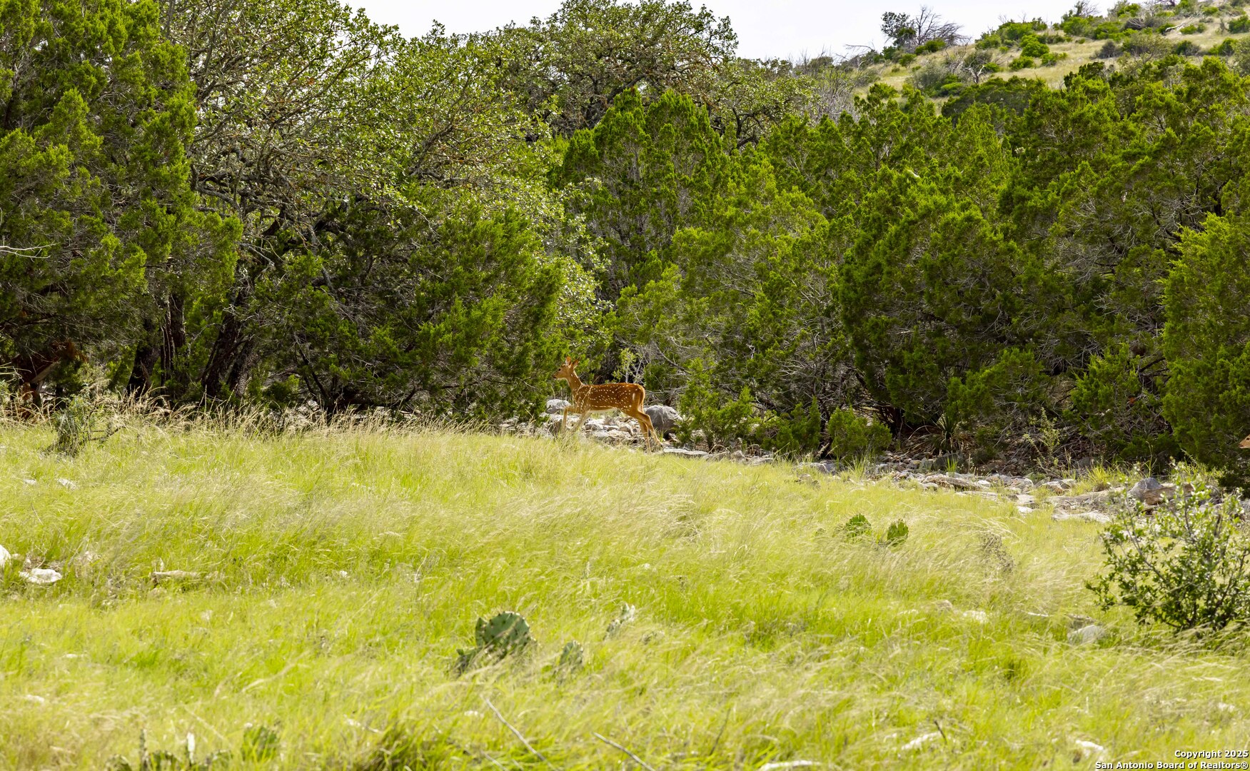 Lot 1 Highway 377 Rocksprings TX 78880