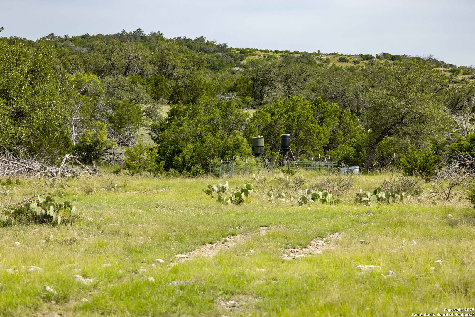 Lot 1 Highway 377 Rocksprings TX 78880