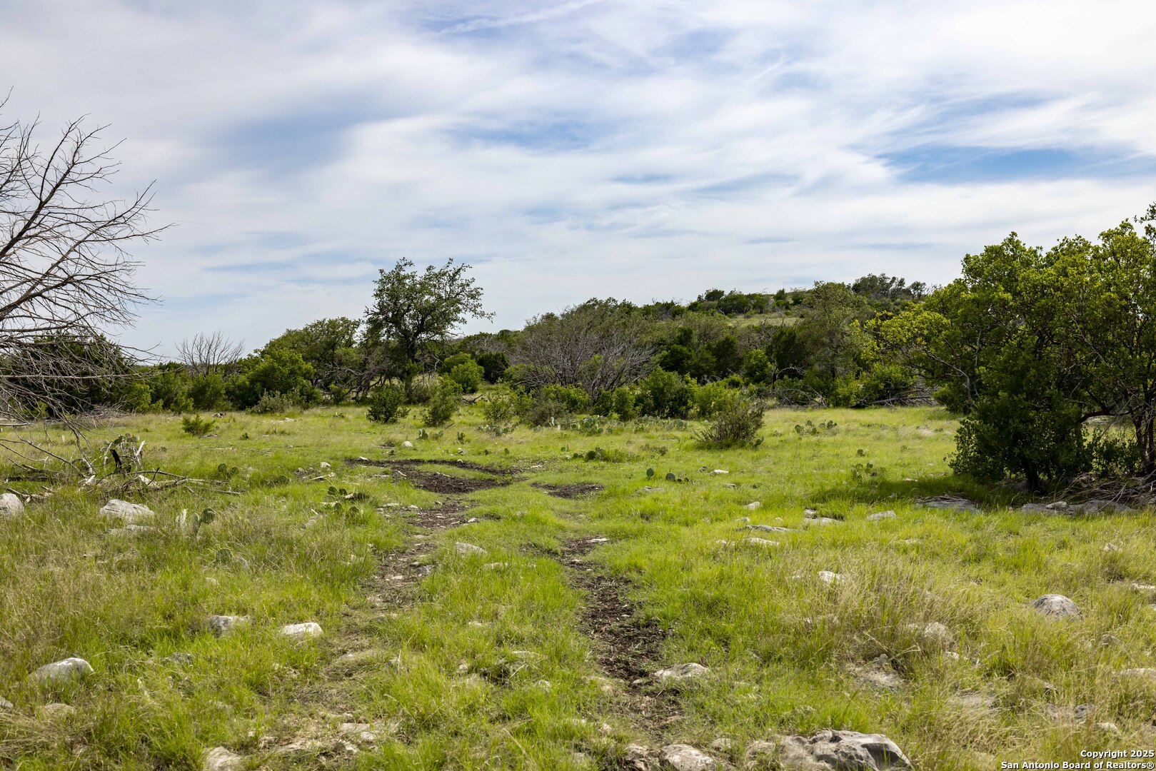 Lot 1 Highway 377 Rocksprings TX 78880