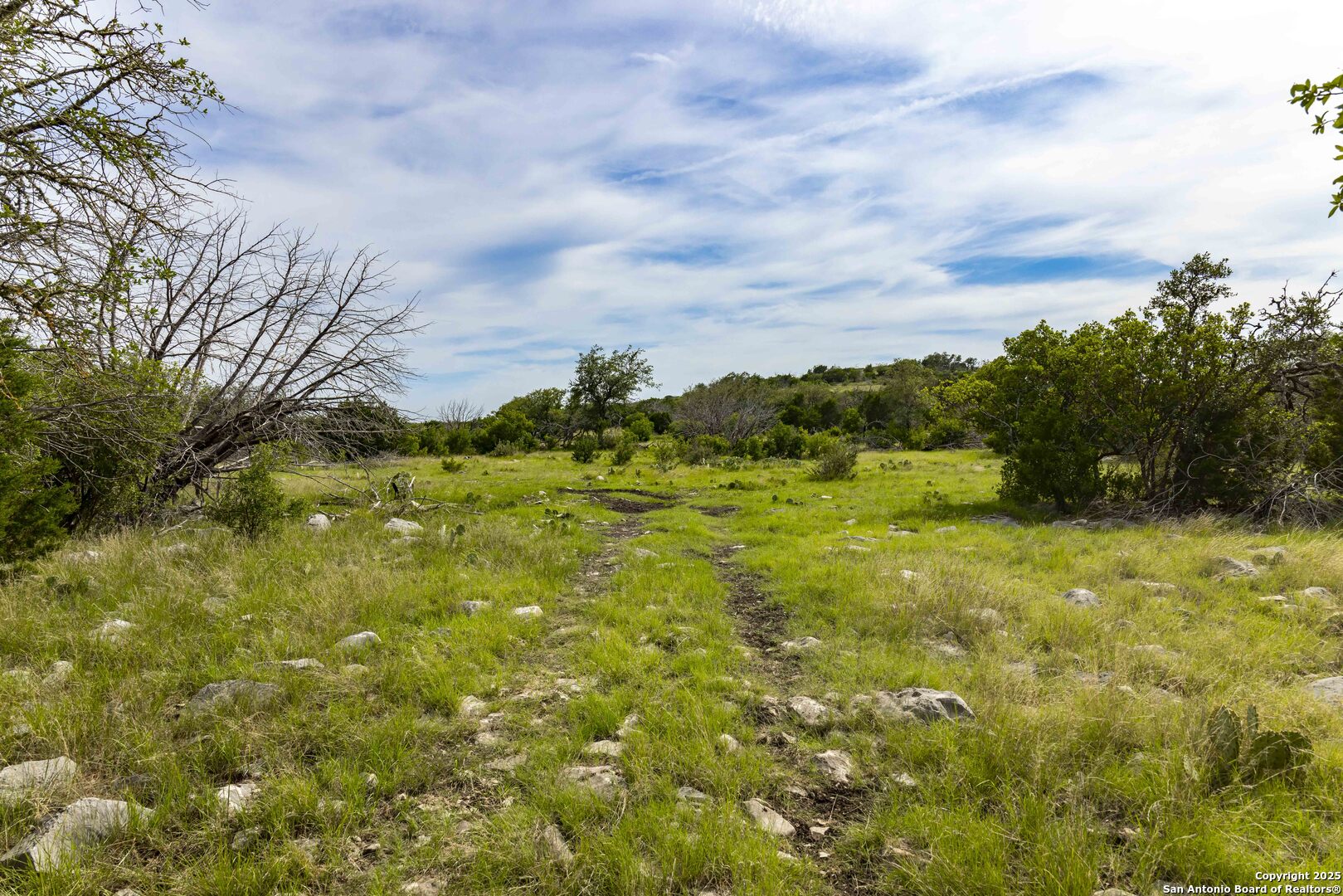 Lot 1 Highway 377 Rocksprings TX 78880