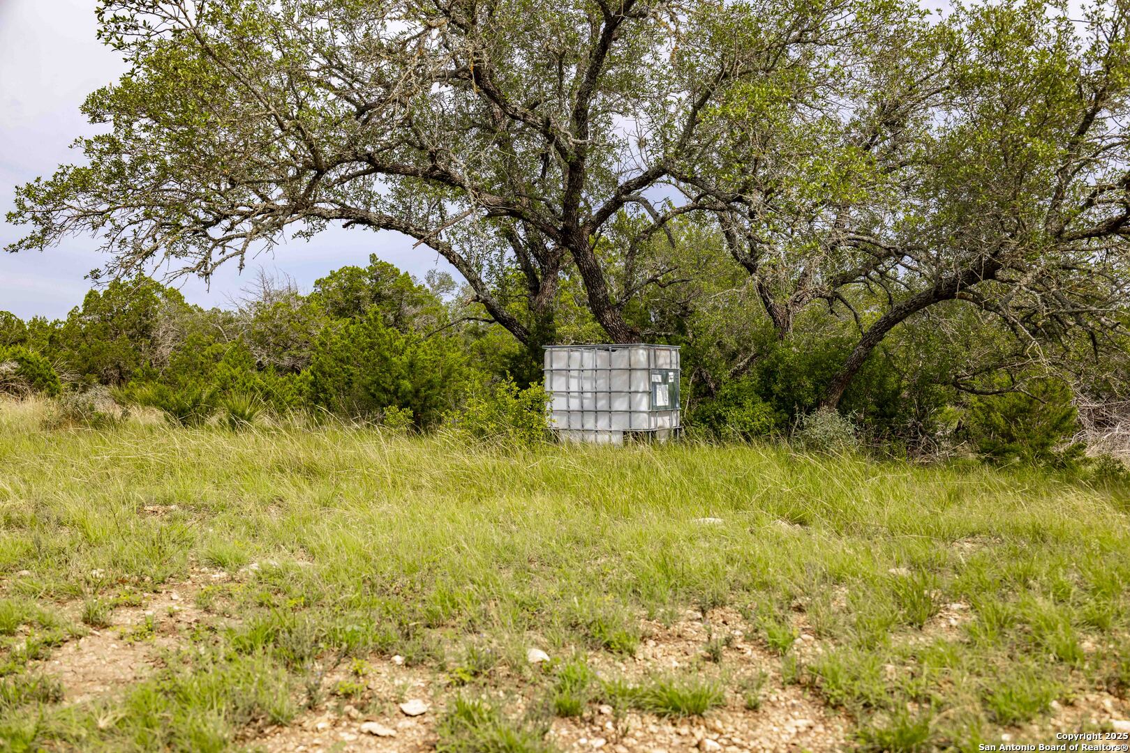 Lot 1 Highway 377 Rocksprings TX 78880