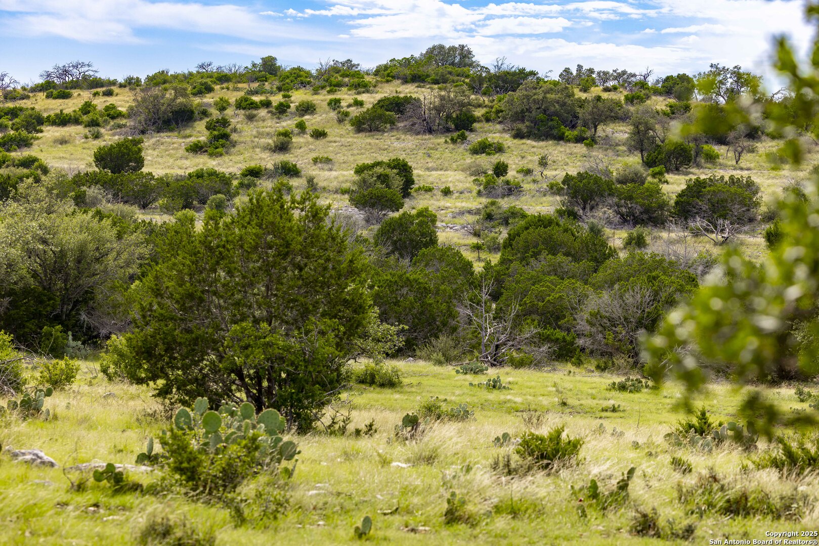 Lot 1 Highway 377 Rocksprings TX 78880