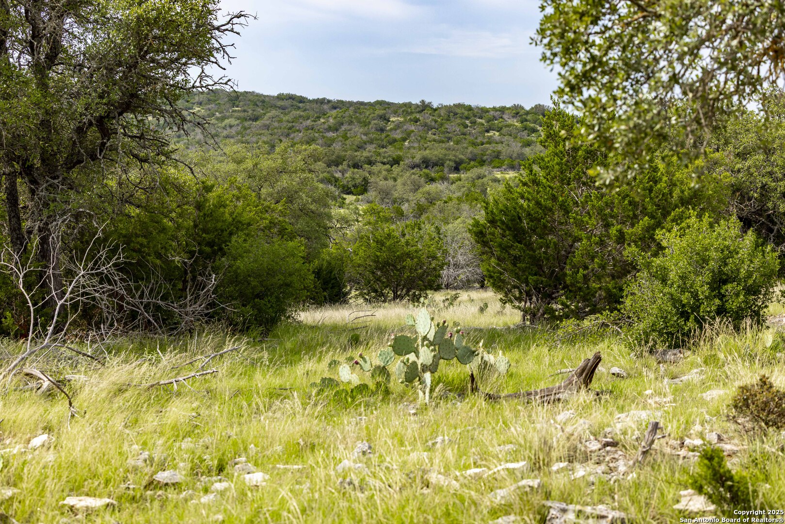 Lot 1 Highway 377 Rocksprings TX 78880