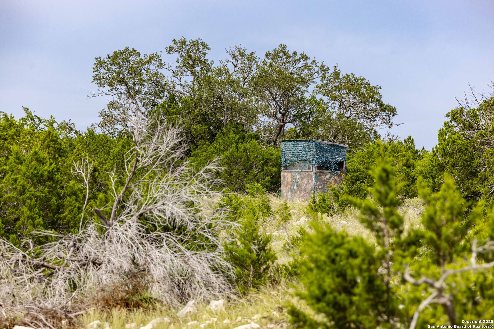 Lot 1 Highway 377 Rocksprings TX 78880