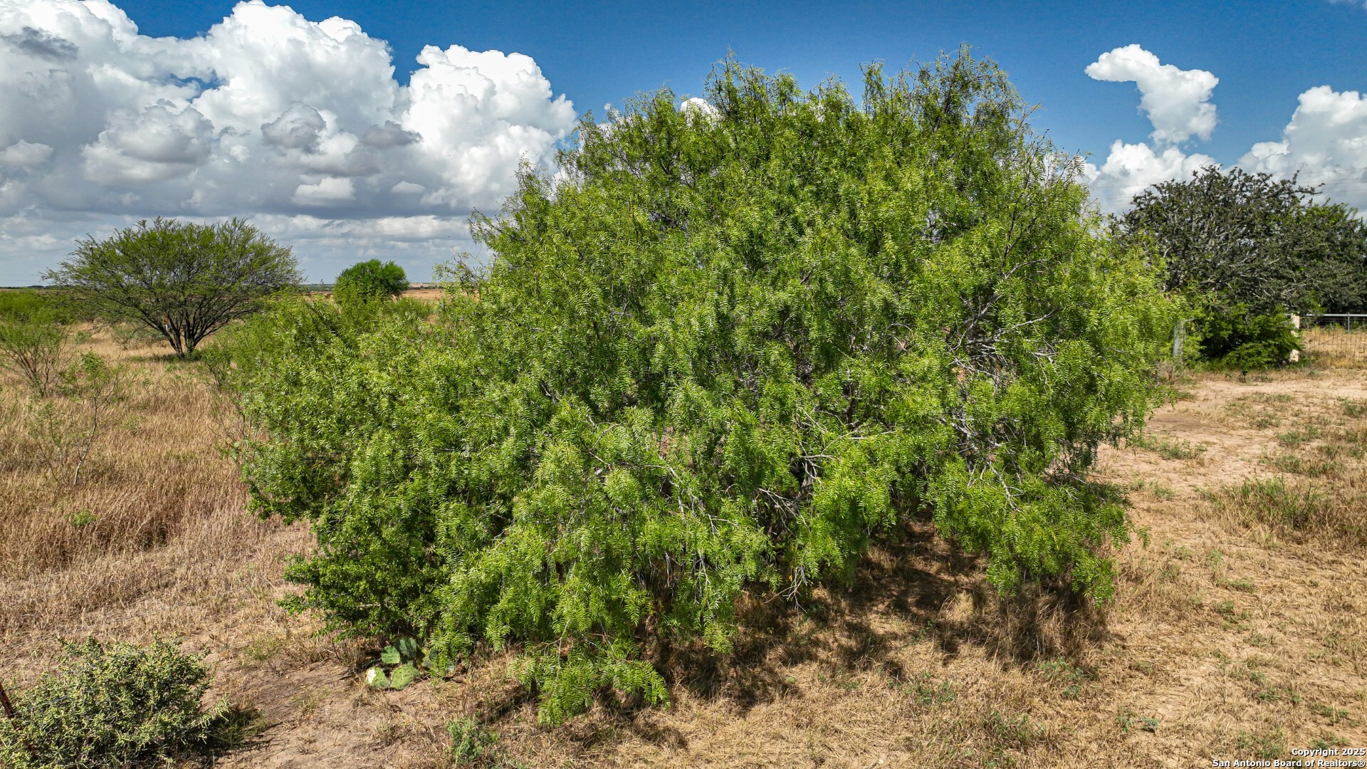 10+/- Acres Cr 152 Kenedy TX 78119