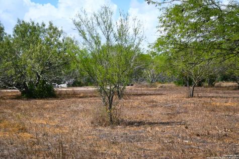 10+/- Acres Cr 152 Kenedy TX 78119