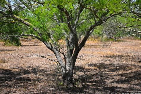 10+/- Acres Cr 152 Kenedy TX 78119