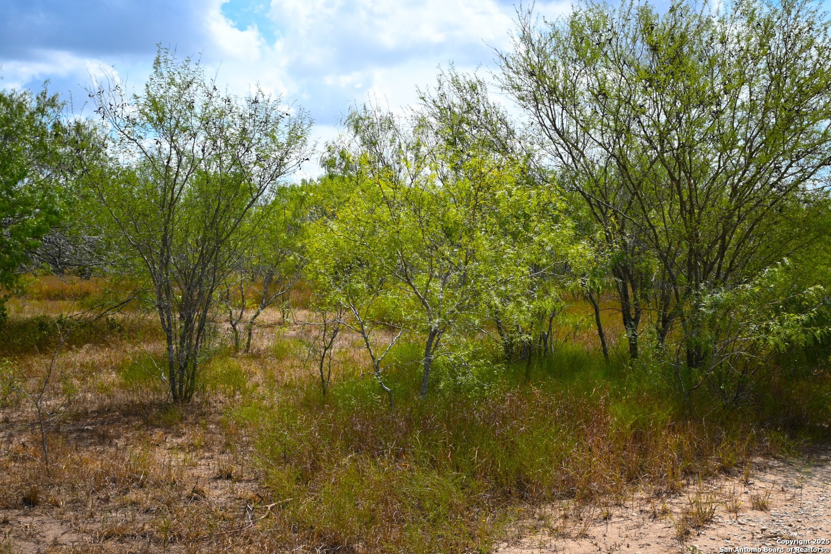 10+/- Acres Cr 152 Kenedy TX 78119