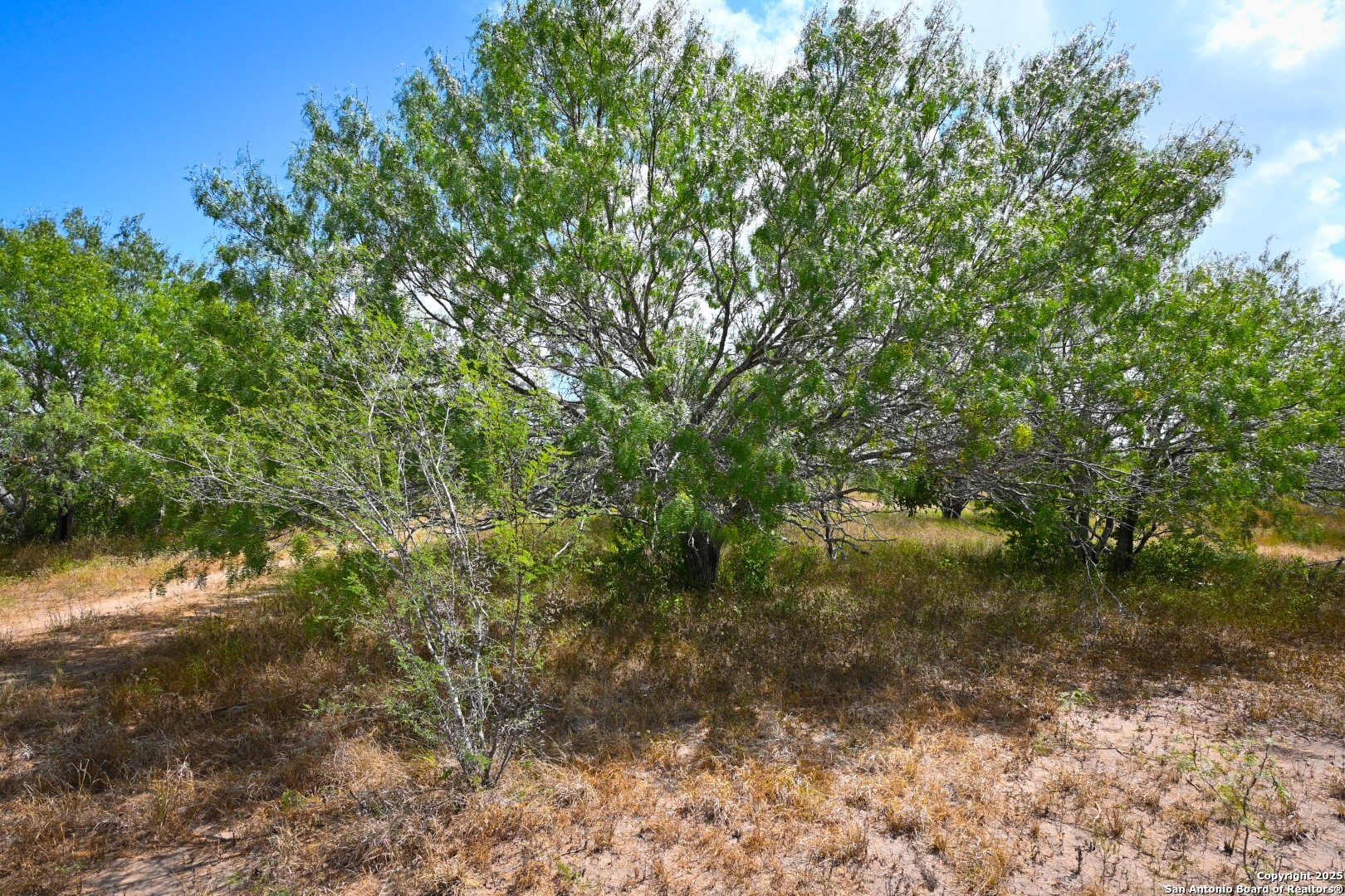 10+/- Acres Cr 152 Kenedy TX 78119