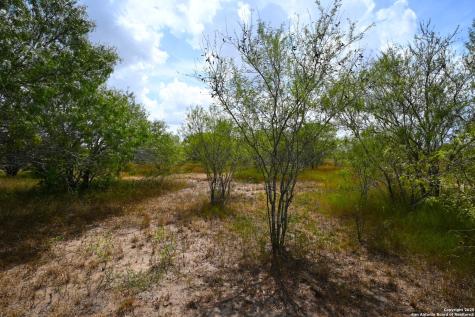 10+/- Acres Cr 152 Kenedy TX 78119