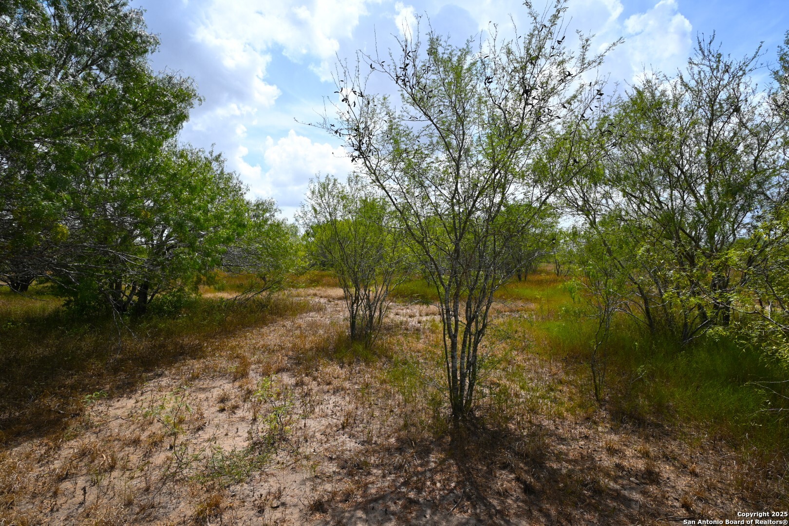10+/- Acres Cr 152 Kenedy TX 78119