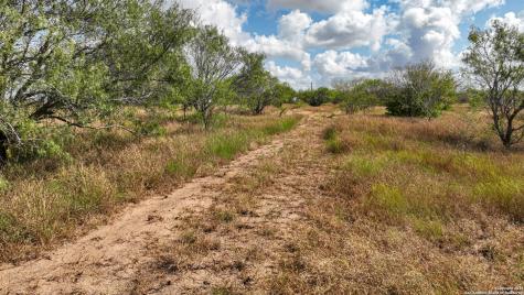 10+/- Acres Cr 152 Kenedy TX 78119