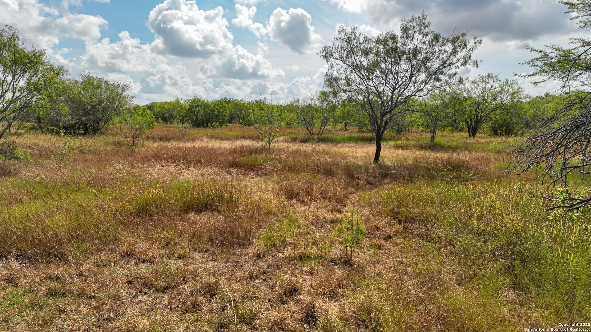 10+/- Acres Cr 152 Kenedy TX 78119