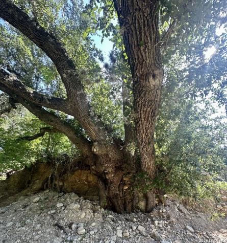 1 Upper Cibolo Creek Road Boerne TX 78006