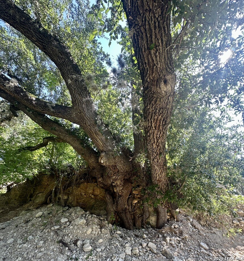 1 Upper Cibolo Creek Road Boerne TX 78006