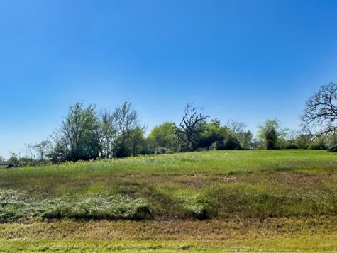 9919 Panther Ridge Drive Iola TX 77861