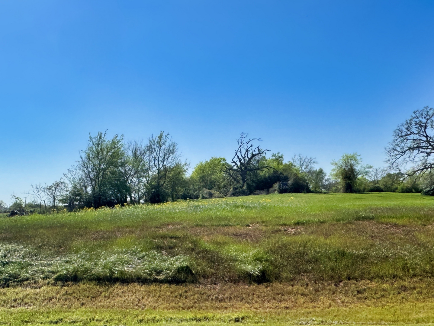9919 Panther Ridge Drive Iola TX 77861