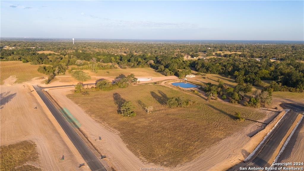 9919 Panther Ridge Drive Iola TX 77861