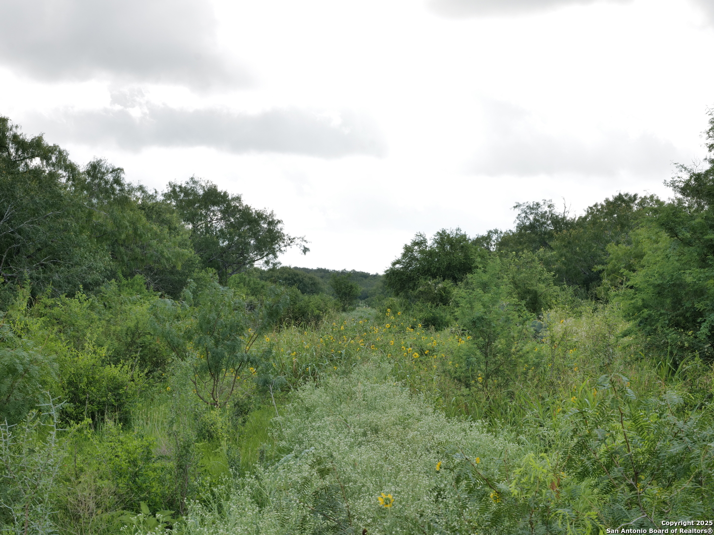 Tract 7 Tbd Cr 208 Hobson TX 78117