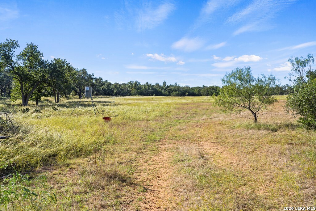 307 Gold Schaefer Road Fredericksburg TX 78624