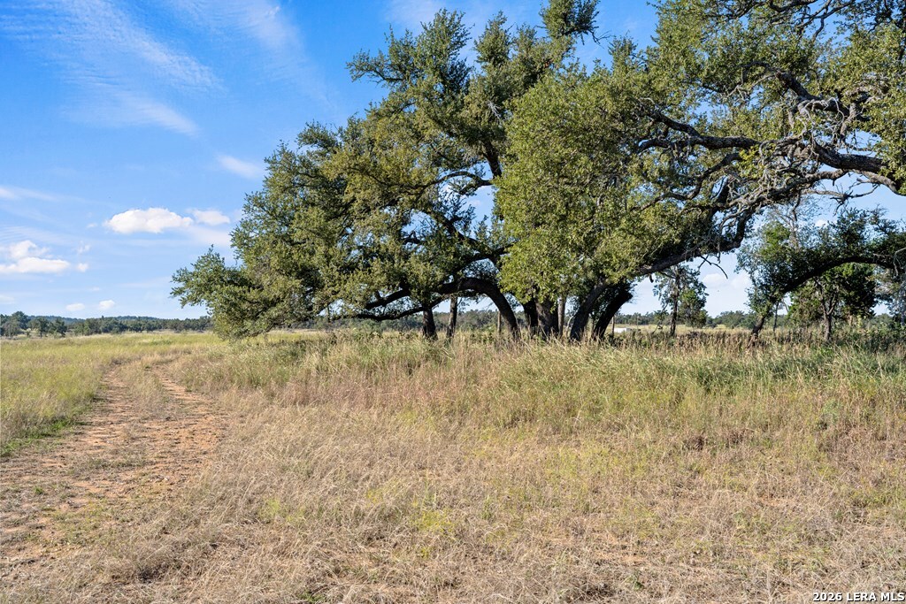 307 Gold Schaefer Road Fredericksburg TX 78624