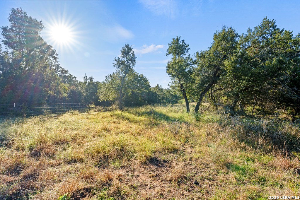 307 Gold Schaefer Road Fredericksburg TX 78624