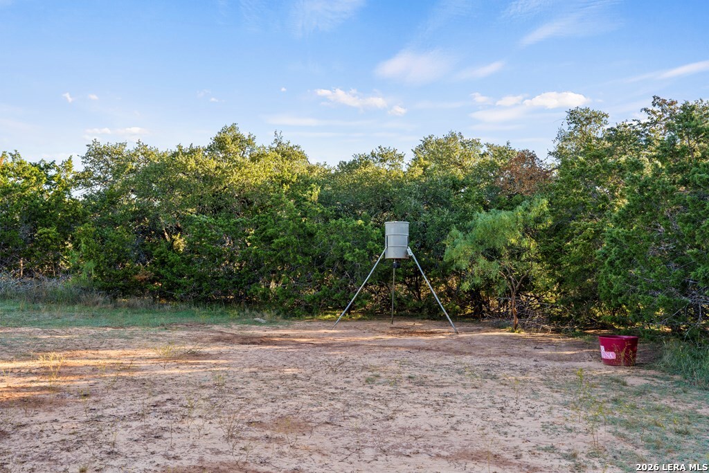 307 Gold Schaefer Road Fredericksburg TX 78624