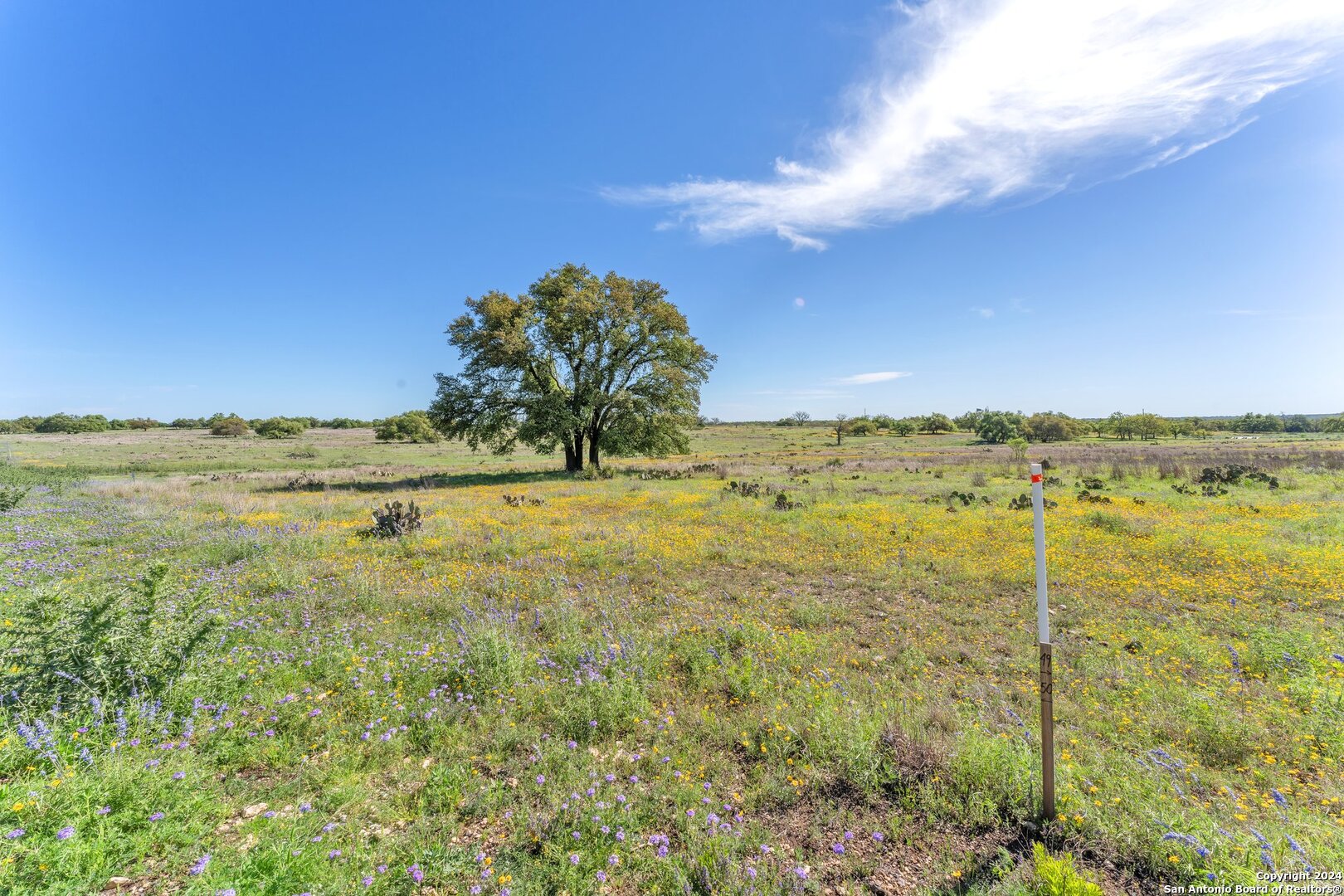 167 NW Nantan Lane Harper TX 78631