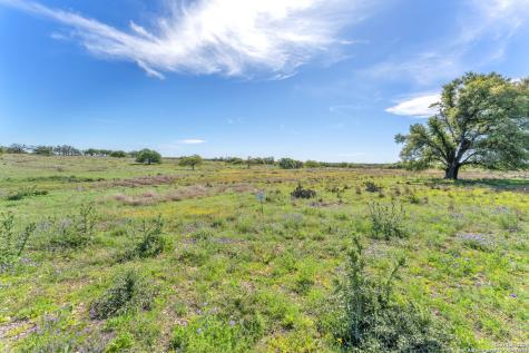 167 NW Nantan Lane Harper TX 78631