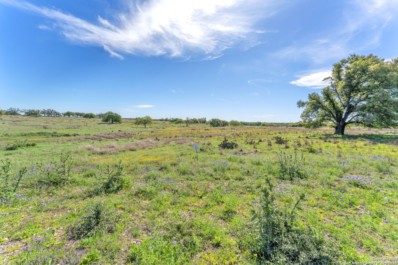 167 NW Nantan Lane Harper TX 78631