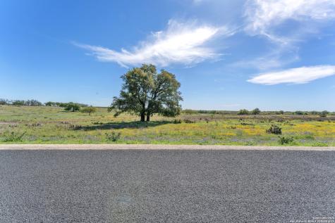 167 NW Nantan Lane Harper TX 78631