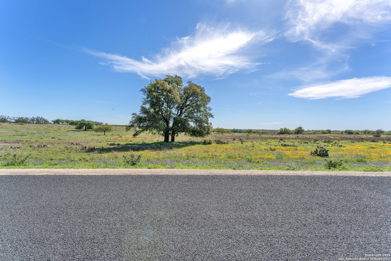 167 NW Nantan Lane Harper TX 78631