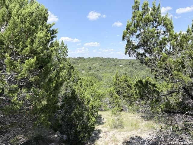 4045 Fire Candle Spring Branch TX 78070