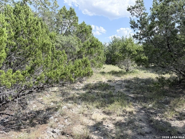 4045 Fire Candle Spring Branch TX 78070