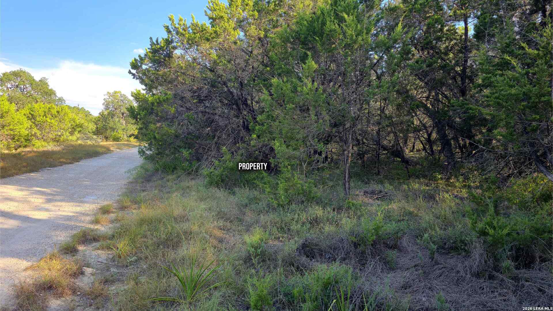1224 Antelope Spring Branch TX 78070