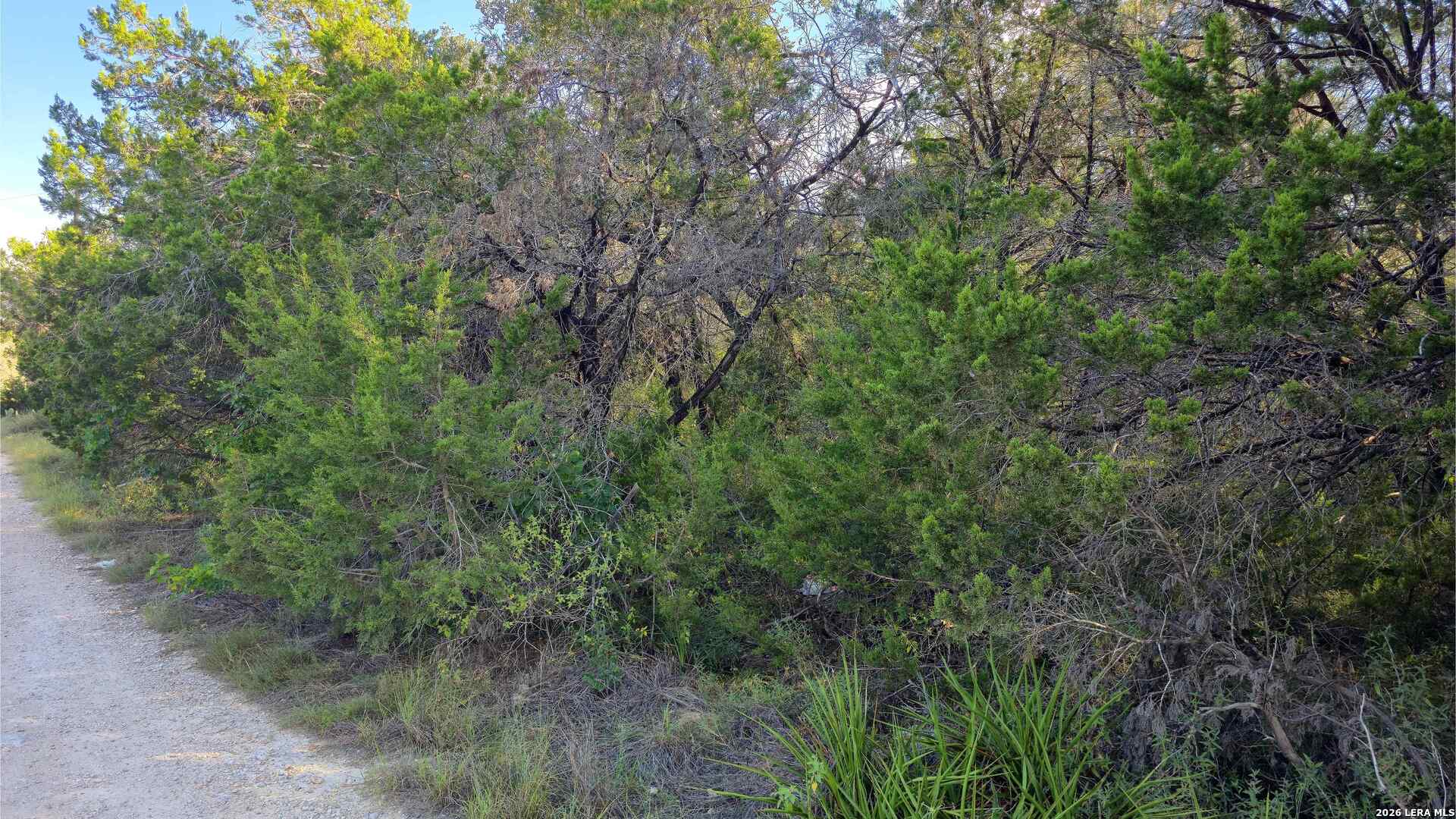 1224 Antelope Spring Branch TX 78070