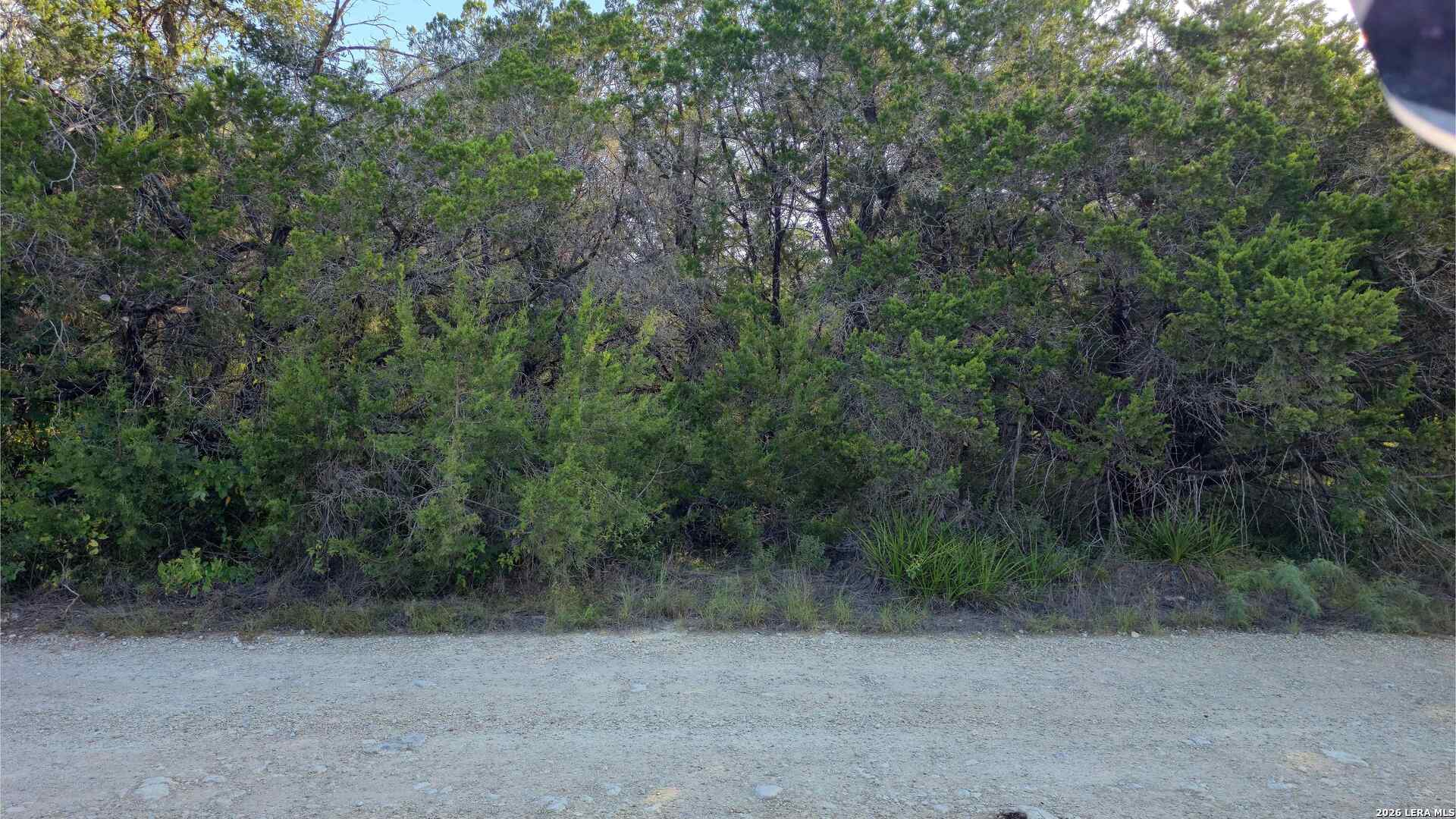 1224 Antelope Spring Branch TX 78070