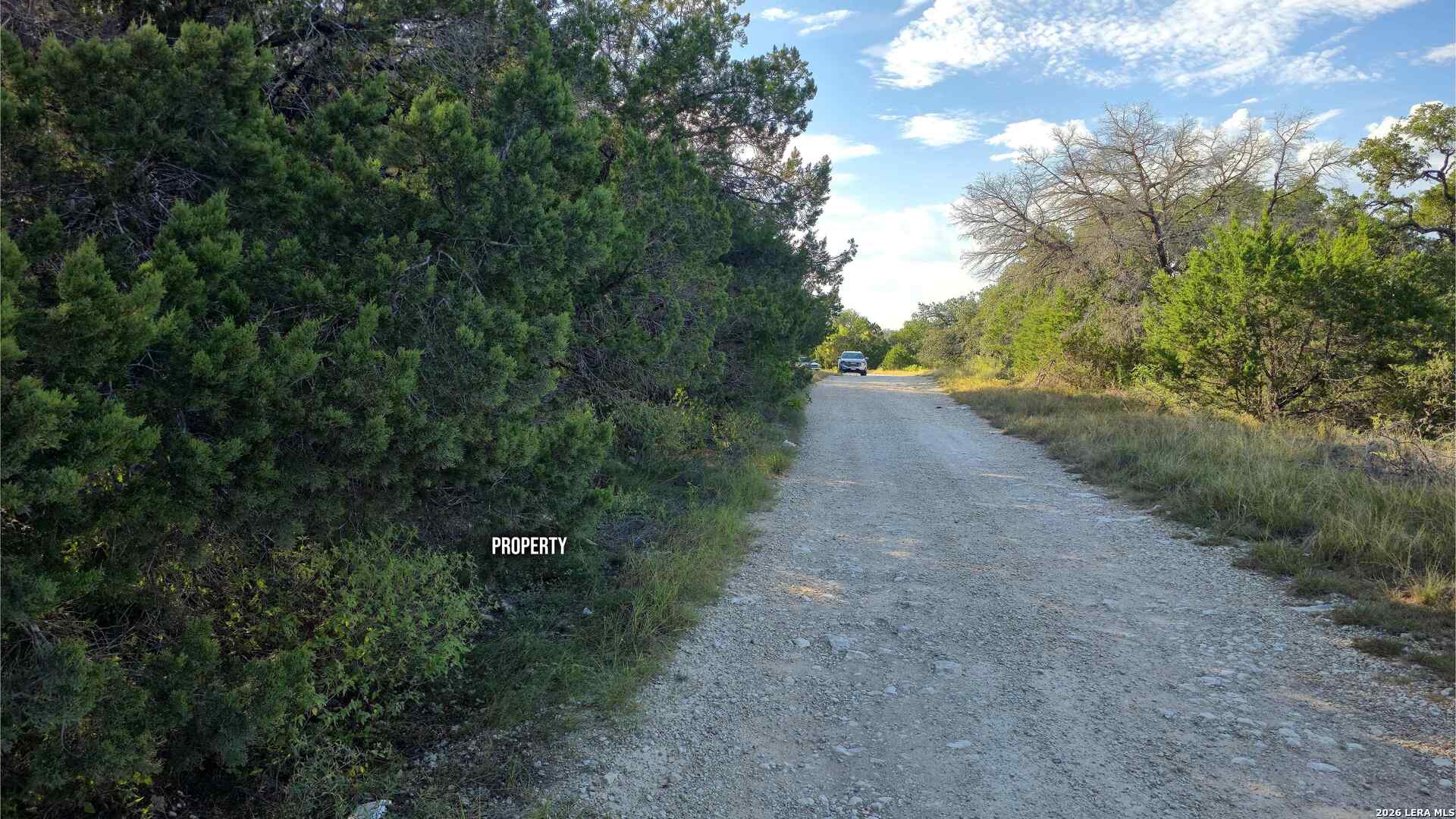 1224 Antelope Spring Branch TX 78070