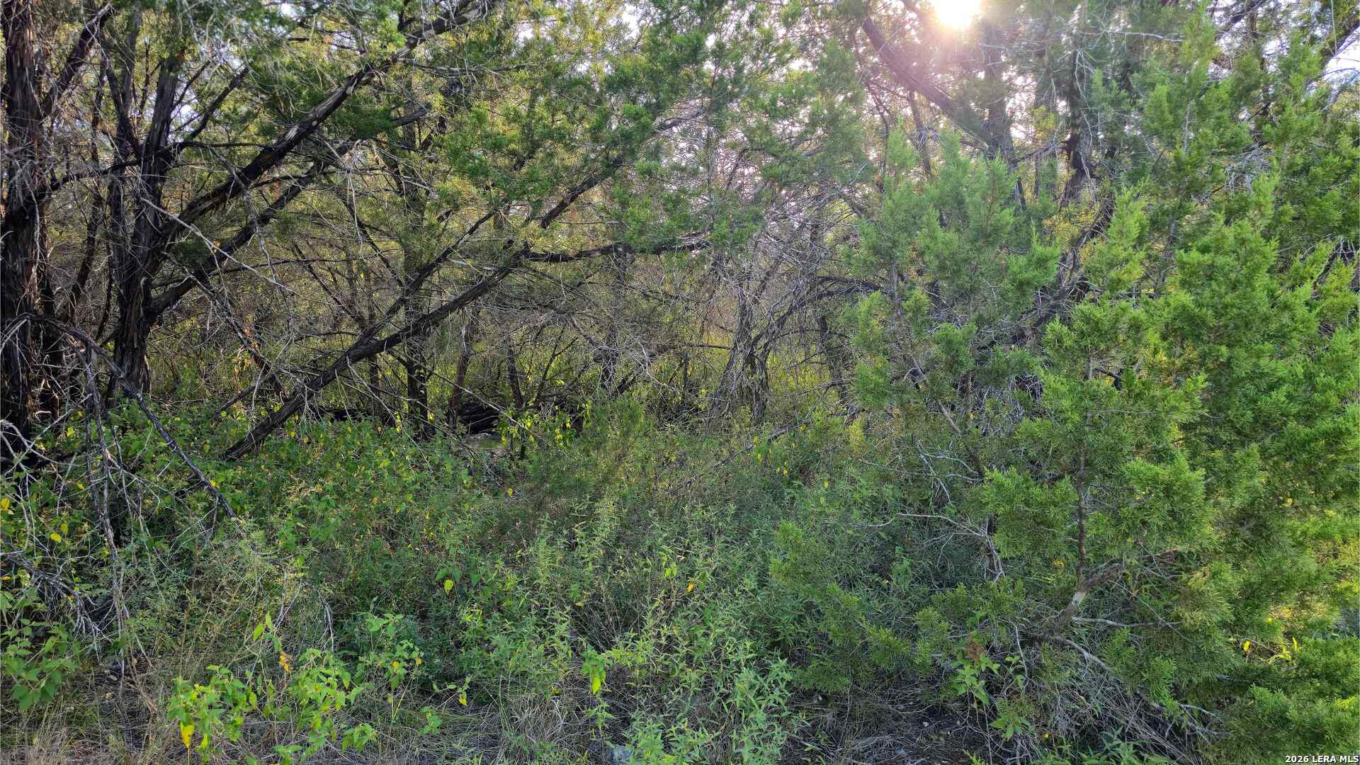 1224 Antelope Spring Branch TX 78070