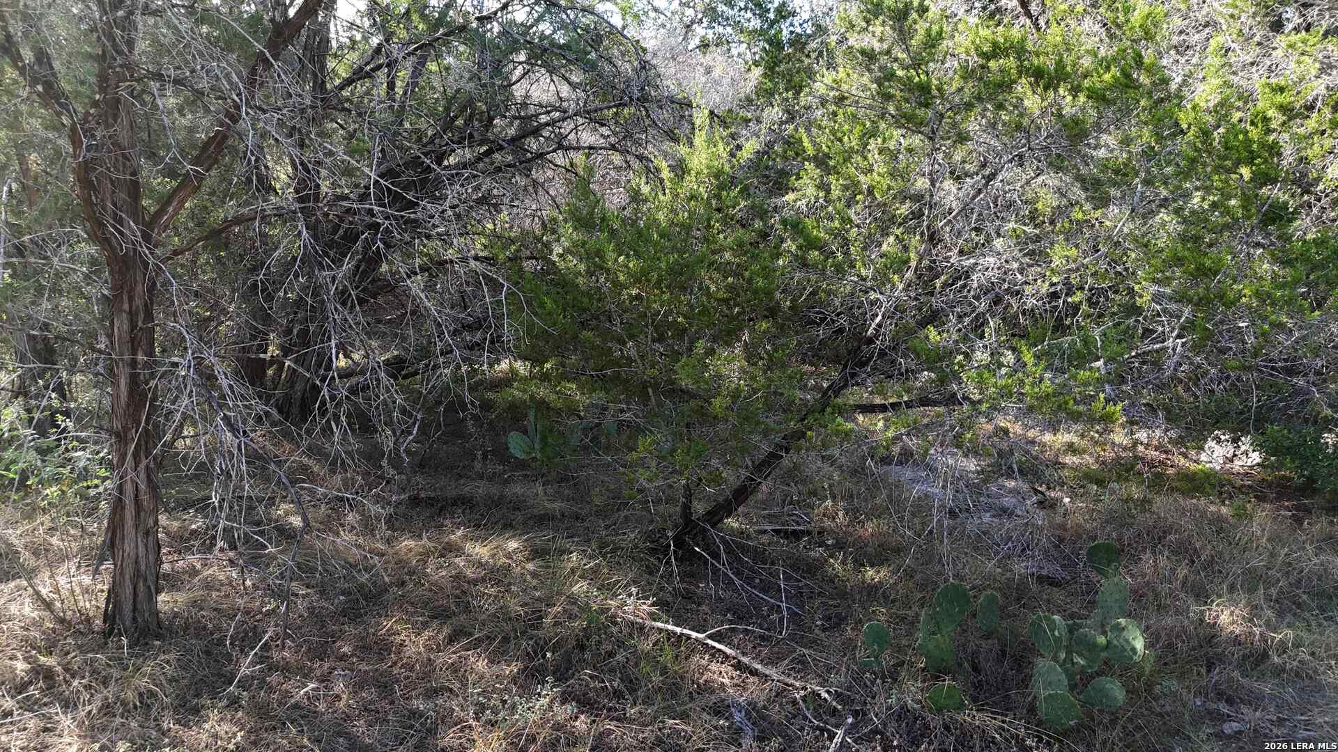 1224 Antelope Spring Branch TX 78070