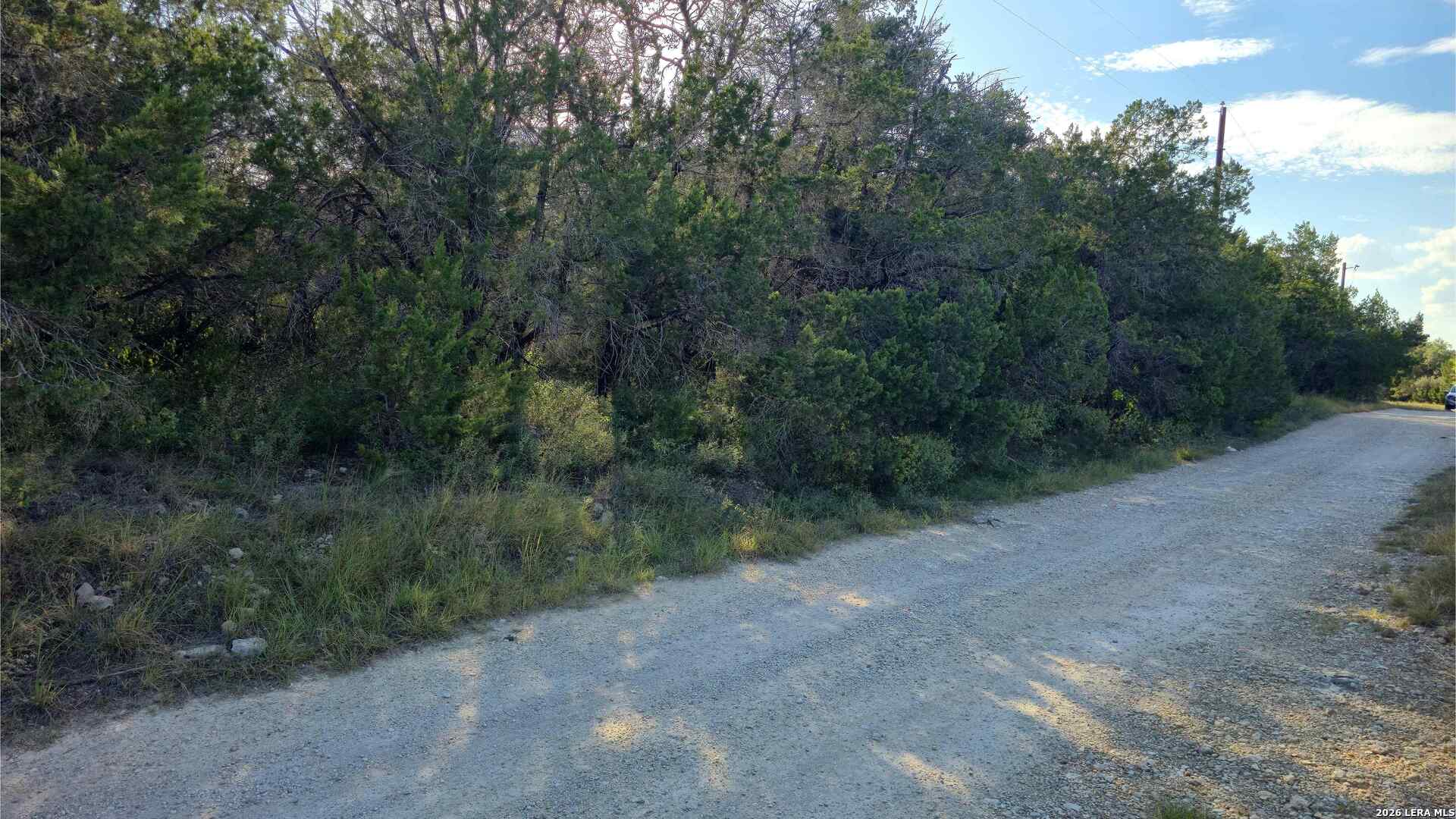 1224 Antelope Spring Branch TX 78070
