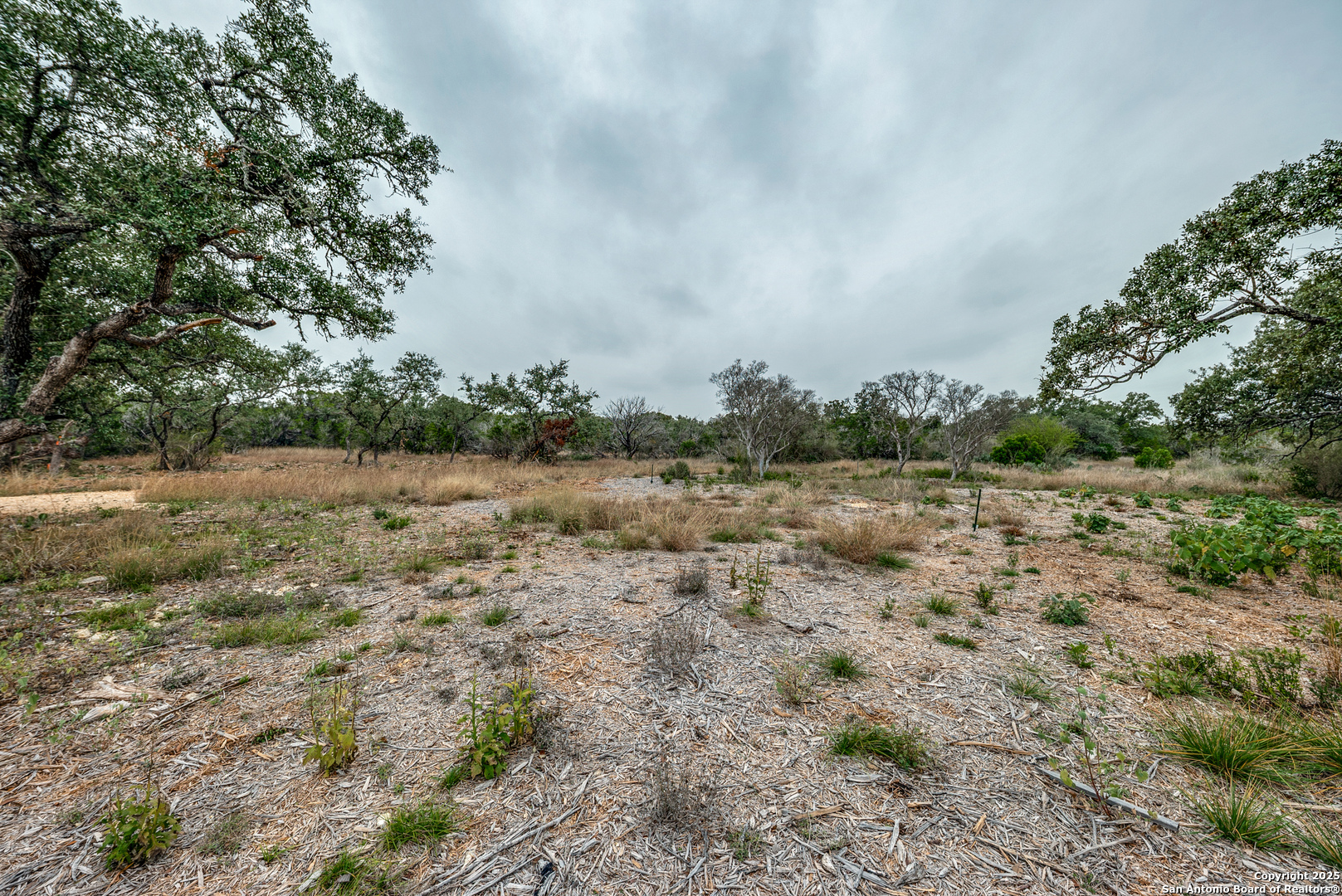 801 Grand Oaks Hondo TX 78861
