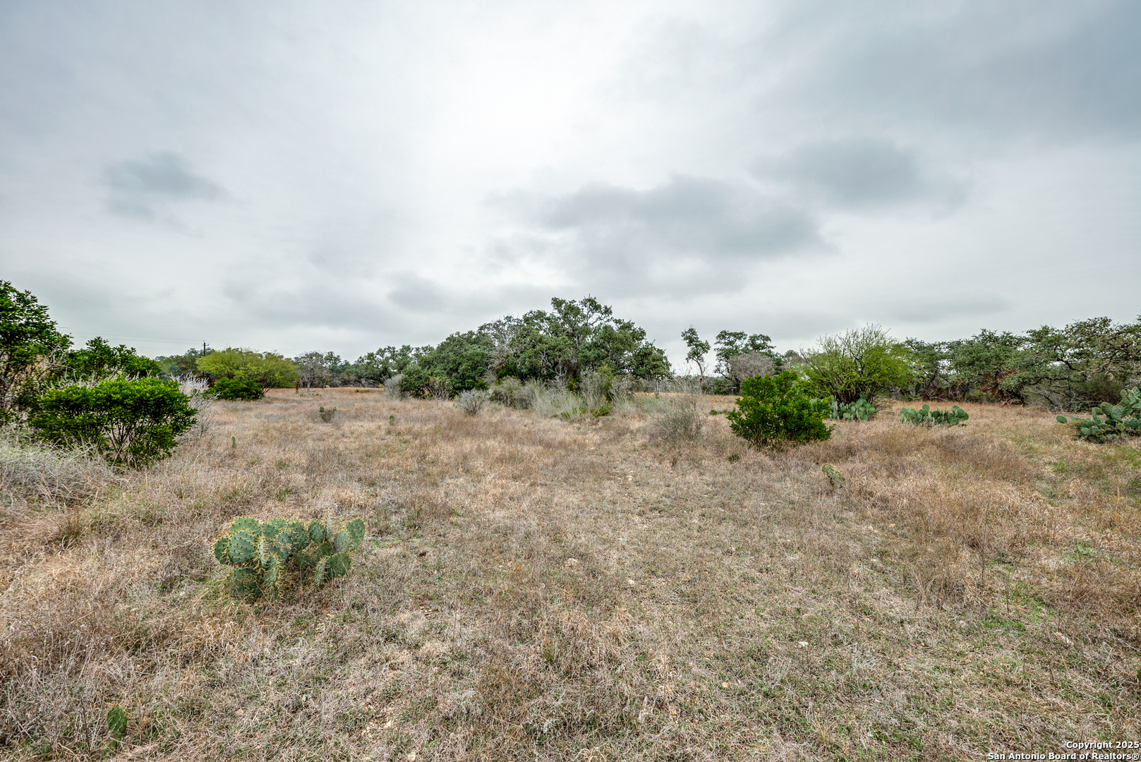 801 Grand Oaks Hondo TX 78861
