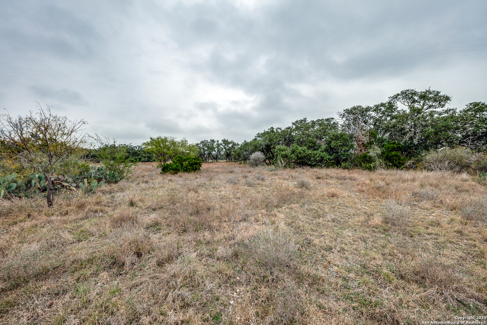 801 Grand Oaks Hondo TX 78861
