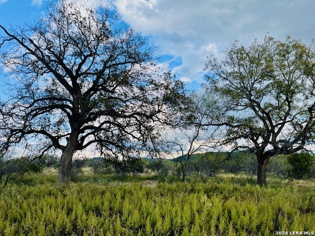 4 Acres Cr 416 Uvalde TX 78801