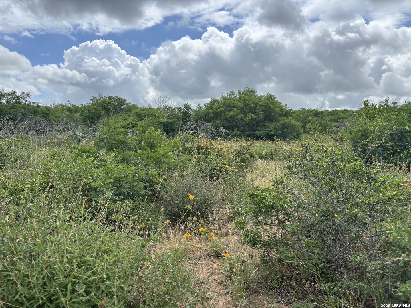 0 Cr 1515 Moore TX 78057