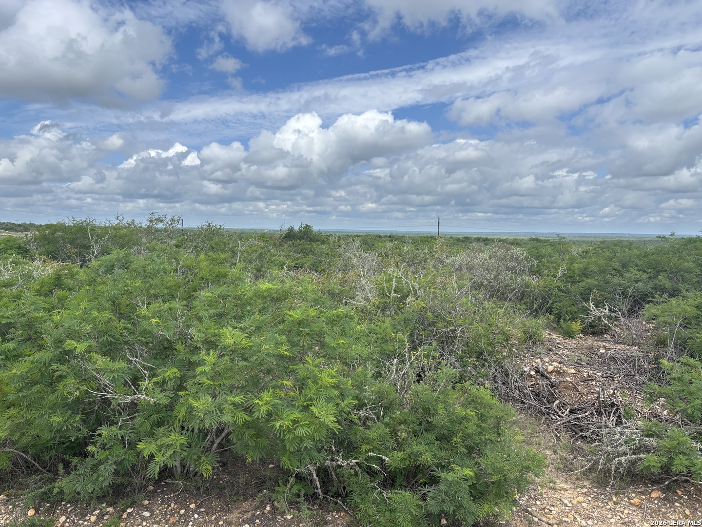 0 Cr 1515 Moore TX 78057