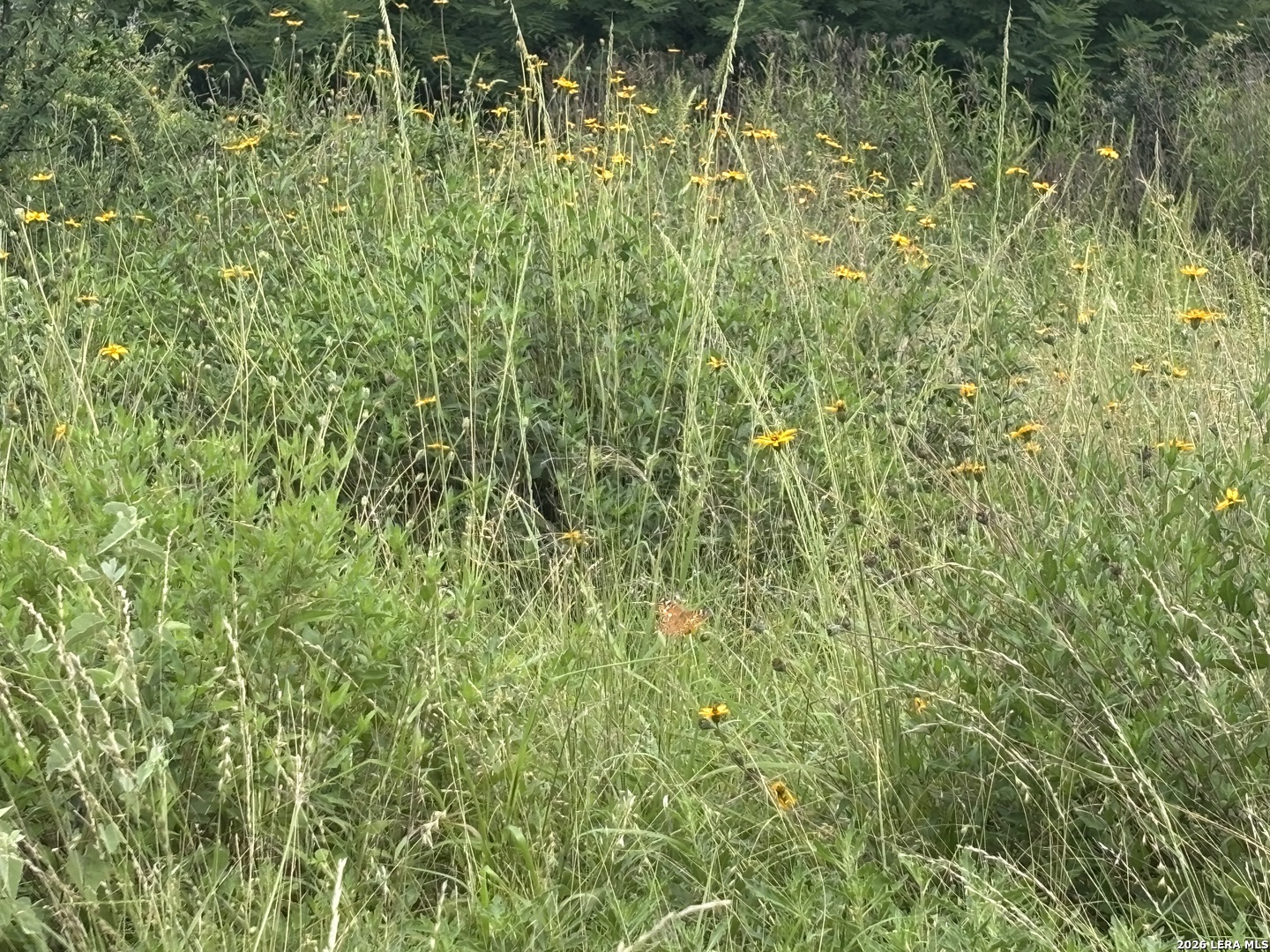 0 Cr 1515 Moore TX 78057