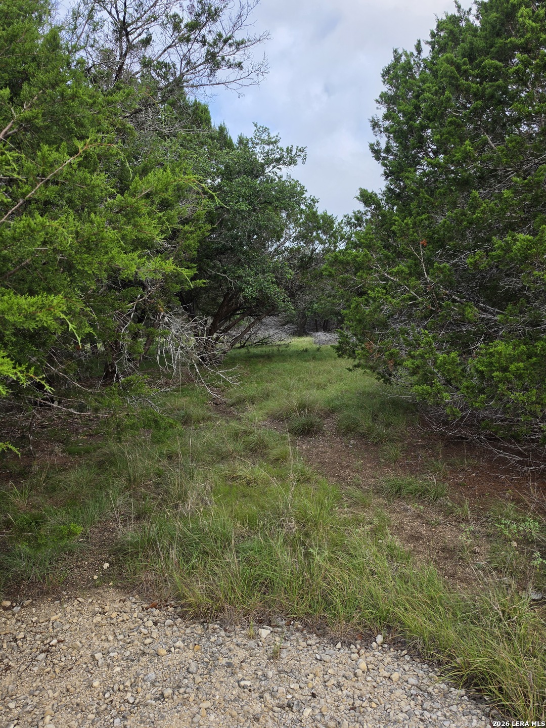 1061 Cielo Springs Drive Blanco TX 78606